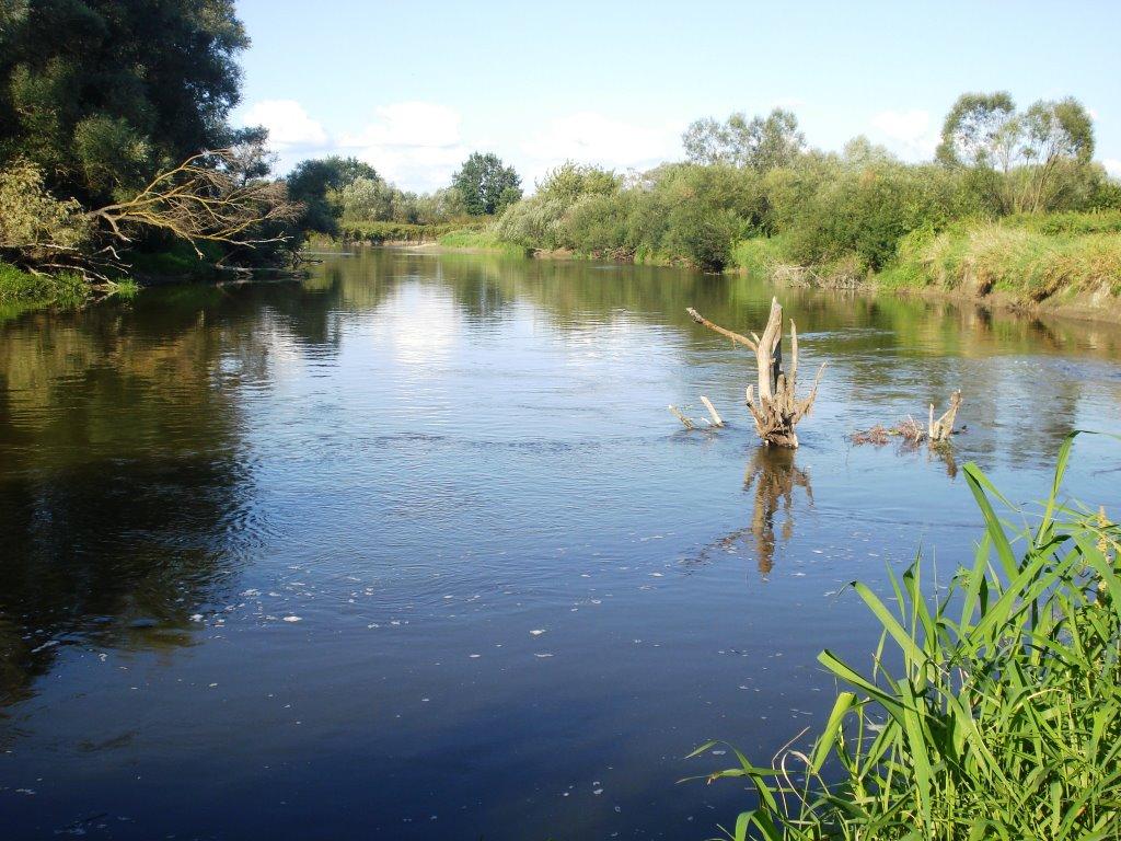 Бережці з panoramio.com - Бережці