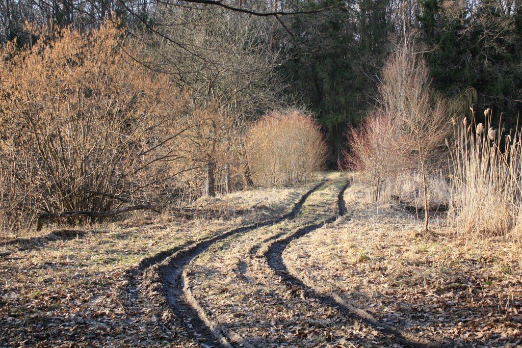 Верхівка з panoramio.com - Верховка