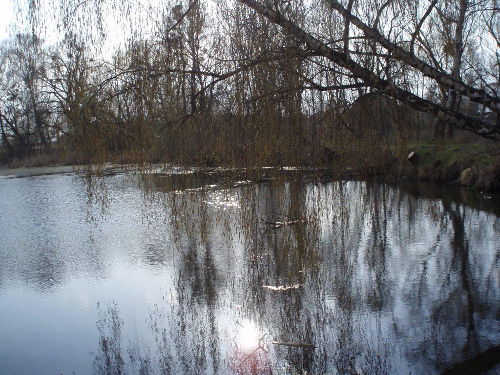 Цурків з panoramio.com - Цурків