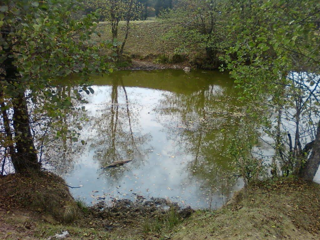 Павлівка з panoramio.com - Павлівка