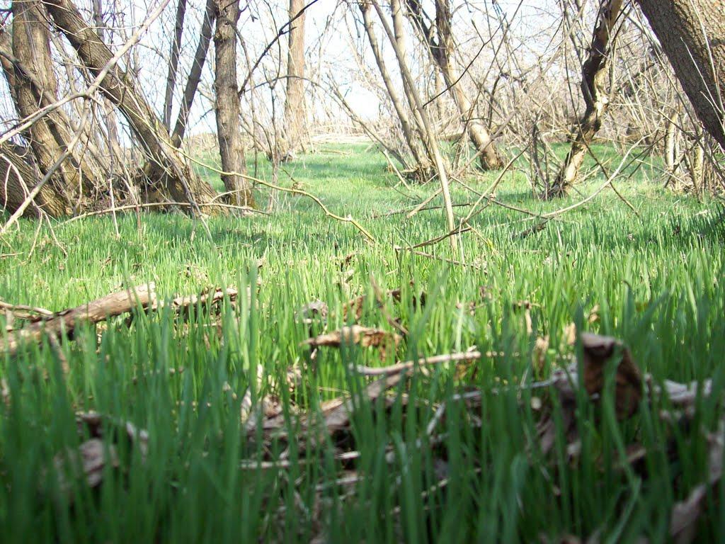 Ананьїв з panoramio.com - Ананьев