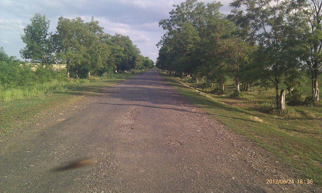 Новомиколаївка з panoramio.com - Новониколаевка