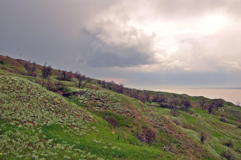 Августівка з panoramio.com - Августовка