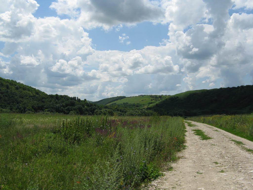 Миньківці з panoramio.com - Миньківці