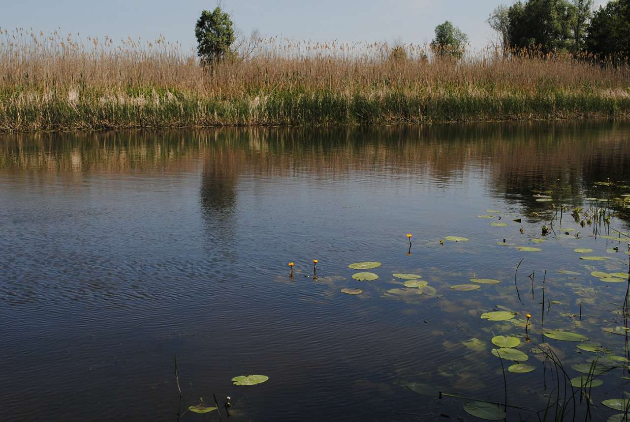 По Сулі - Матвеевка