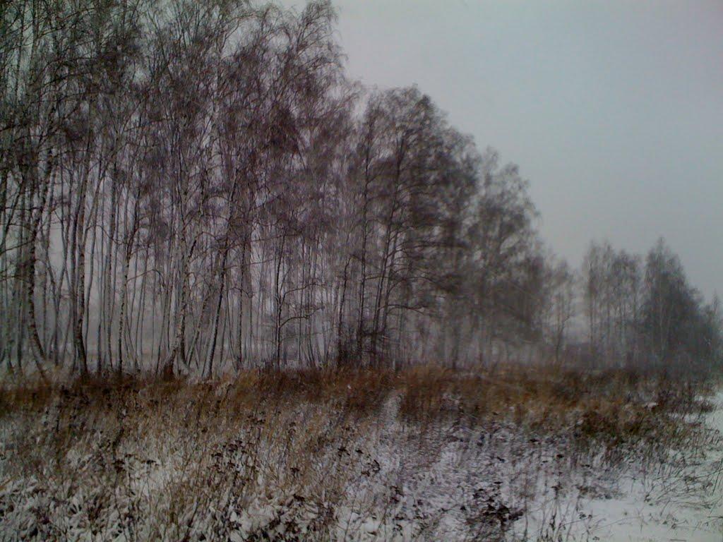 Озера з panoramio.com - Озера