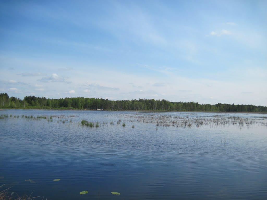 Рудня-Карпилівська з panoramio.com - Рудня-Карпилівська