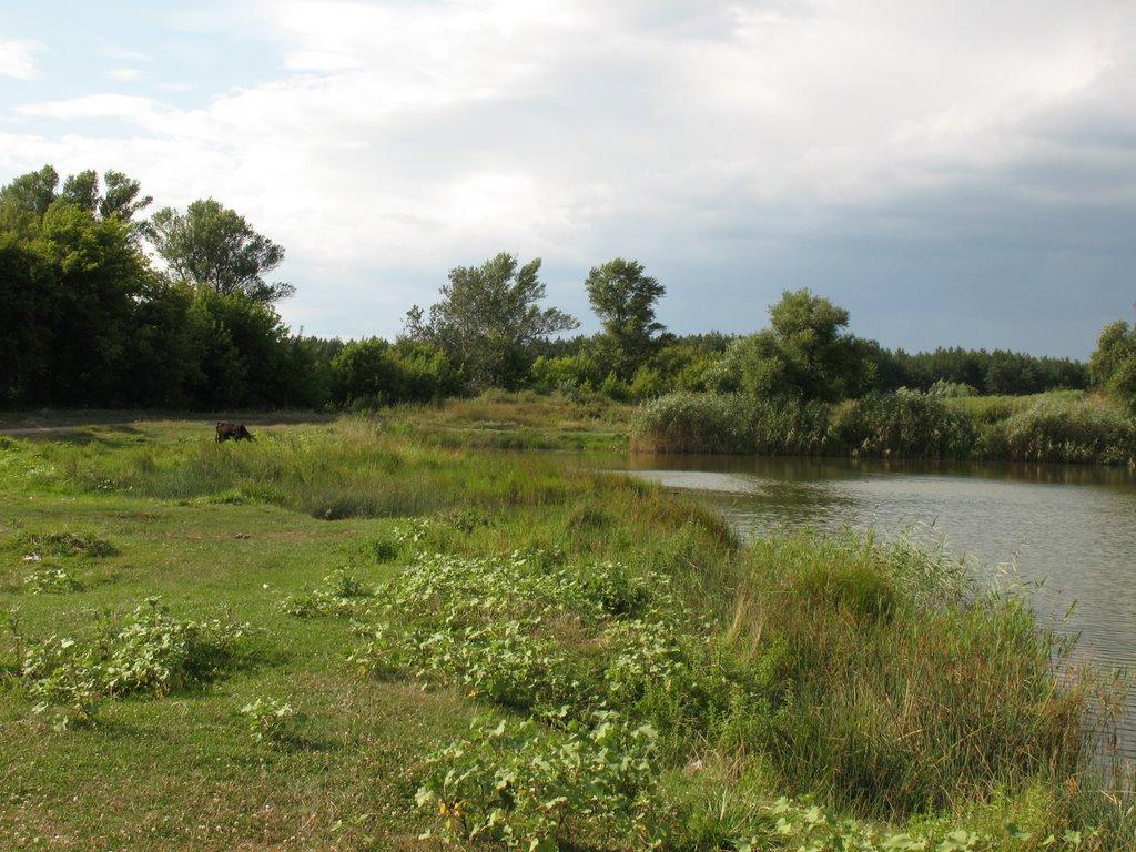 Маламівка з panoramio.com - Malamivka