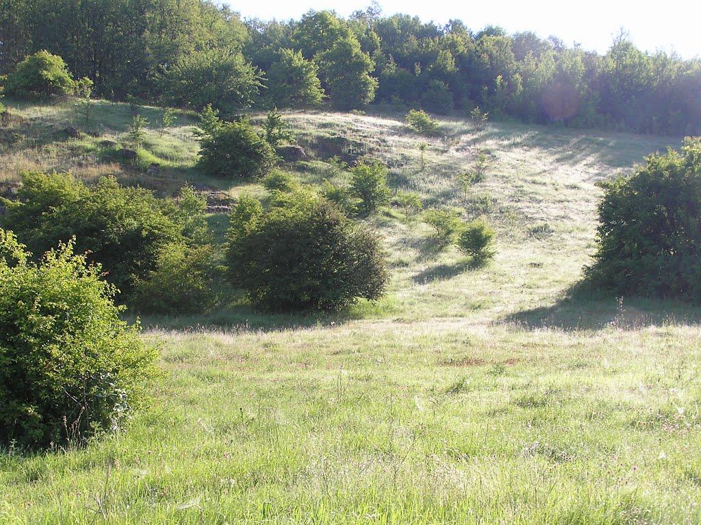Тиврів з panoramio.com - Tyvriv