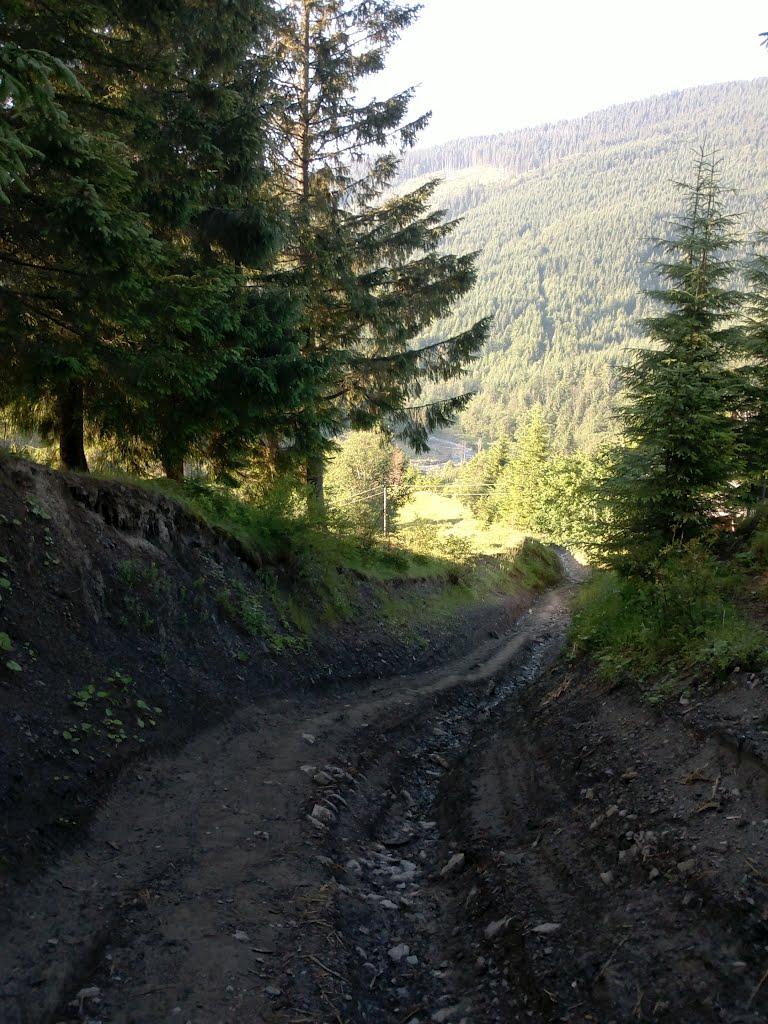 Буркут з panoramio.com - Буркут