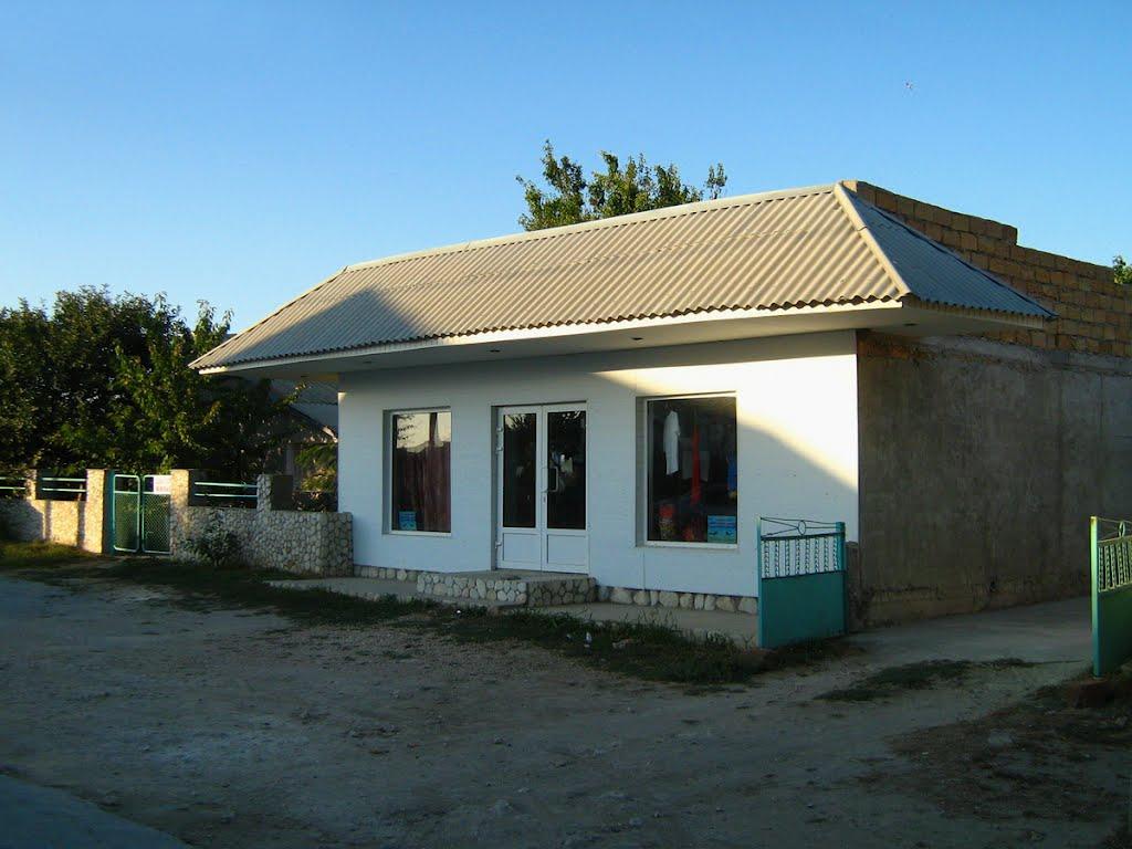 Окунівка з panoramio.com - Окуневка