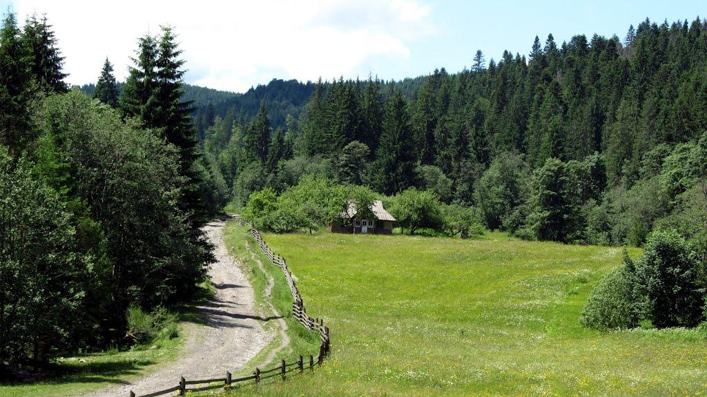 Буркут з panoramio.com - Буркут