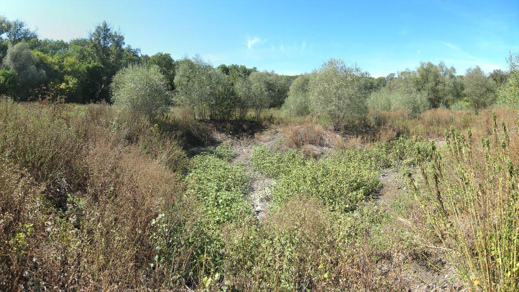 Хорошилове з panoramio.com - Хорошилове