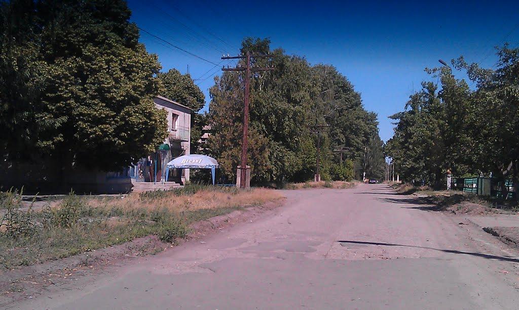 Святилівка з panoramio.com - Святиловка
