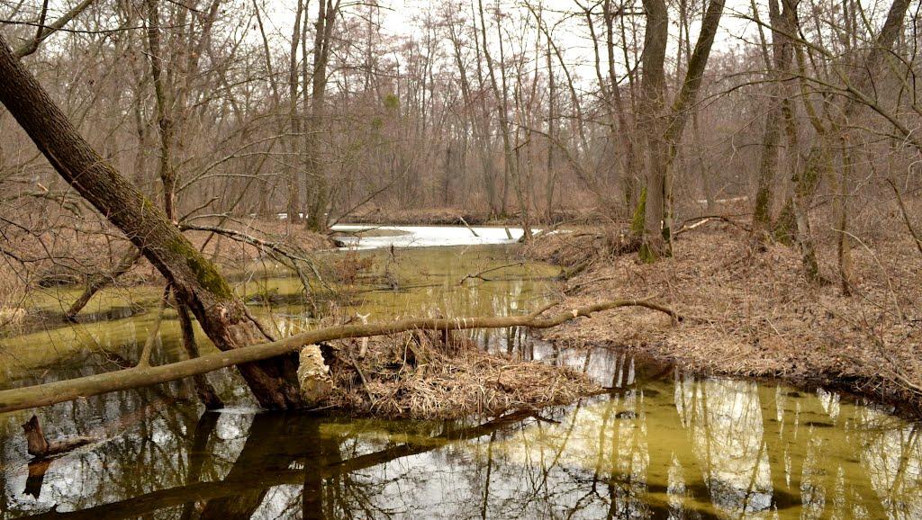 Терентіївка з panoramio.com - Терентиевка