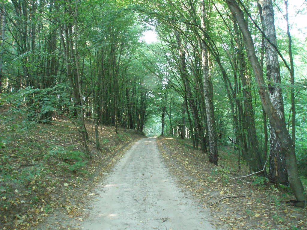 Переморівка з panoramio.com - Переморівка