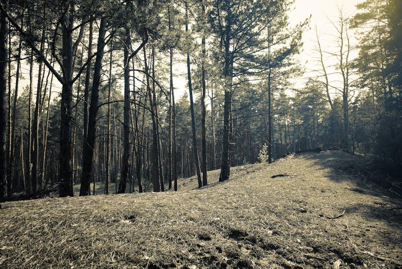 Терентіївка з panoramio.com - Терентиевка