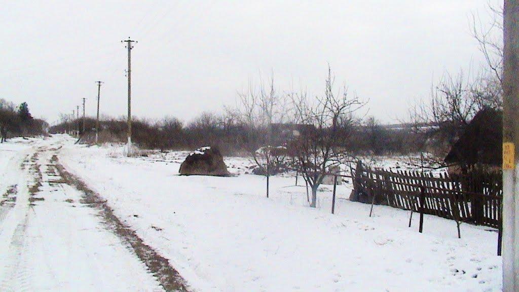 Широке з panoramio.com - Широке