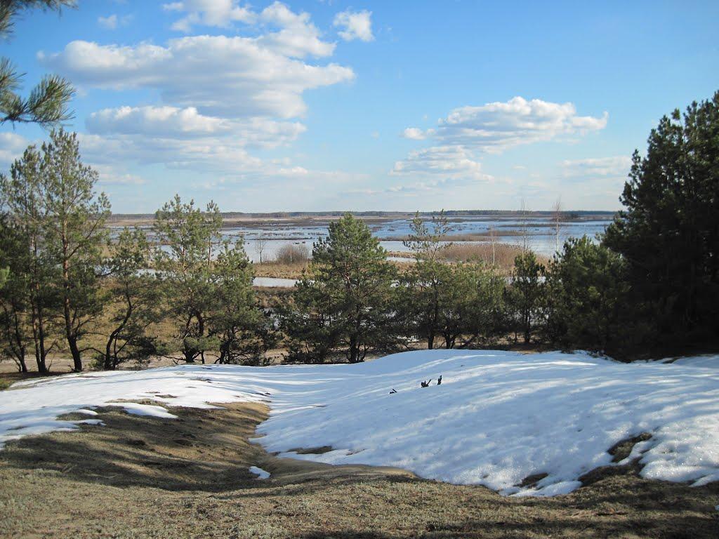 Рудня-Карпилівська з panoramio.com - Рудня-Карпилівська