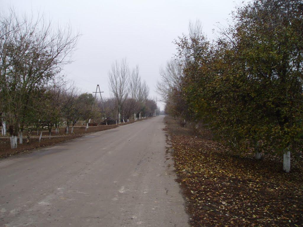 Михайлівка з panoramio.com - Михайлівка