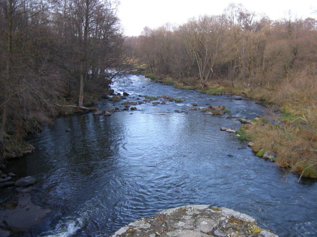 Барди з panoramio.com - Барди