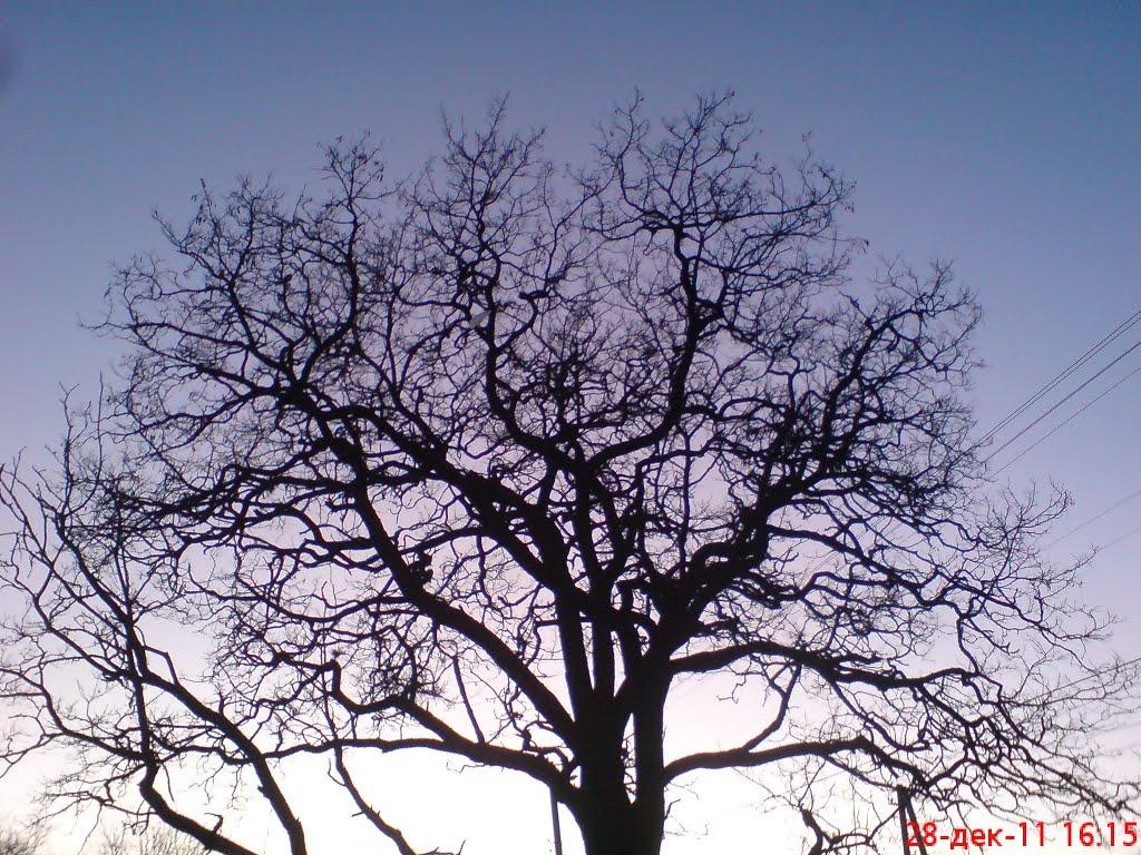 Кірове з panoramio.com - Кирово