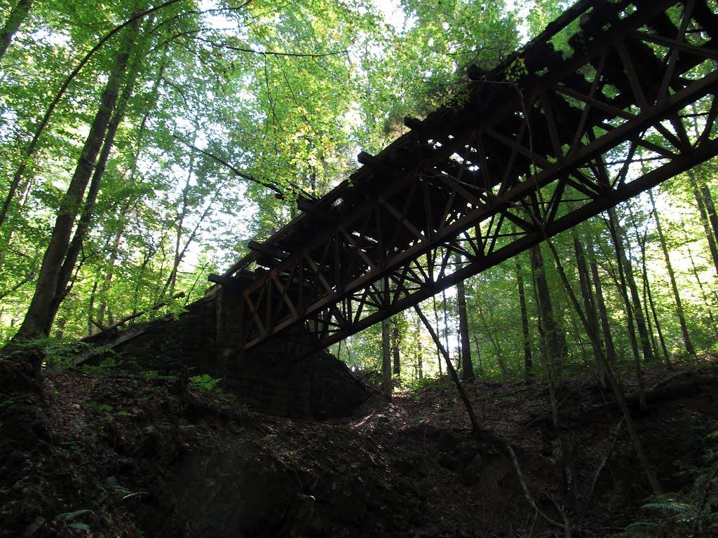 Тур'я Поляна з panoramio.com - Турья Поляна