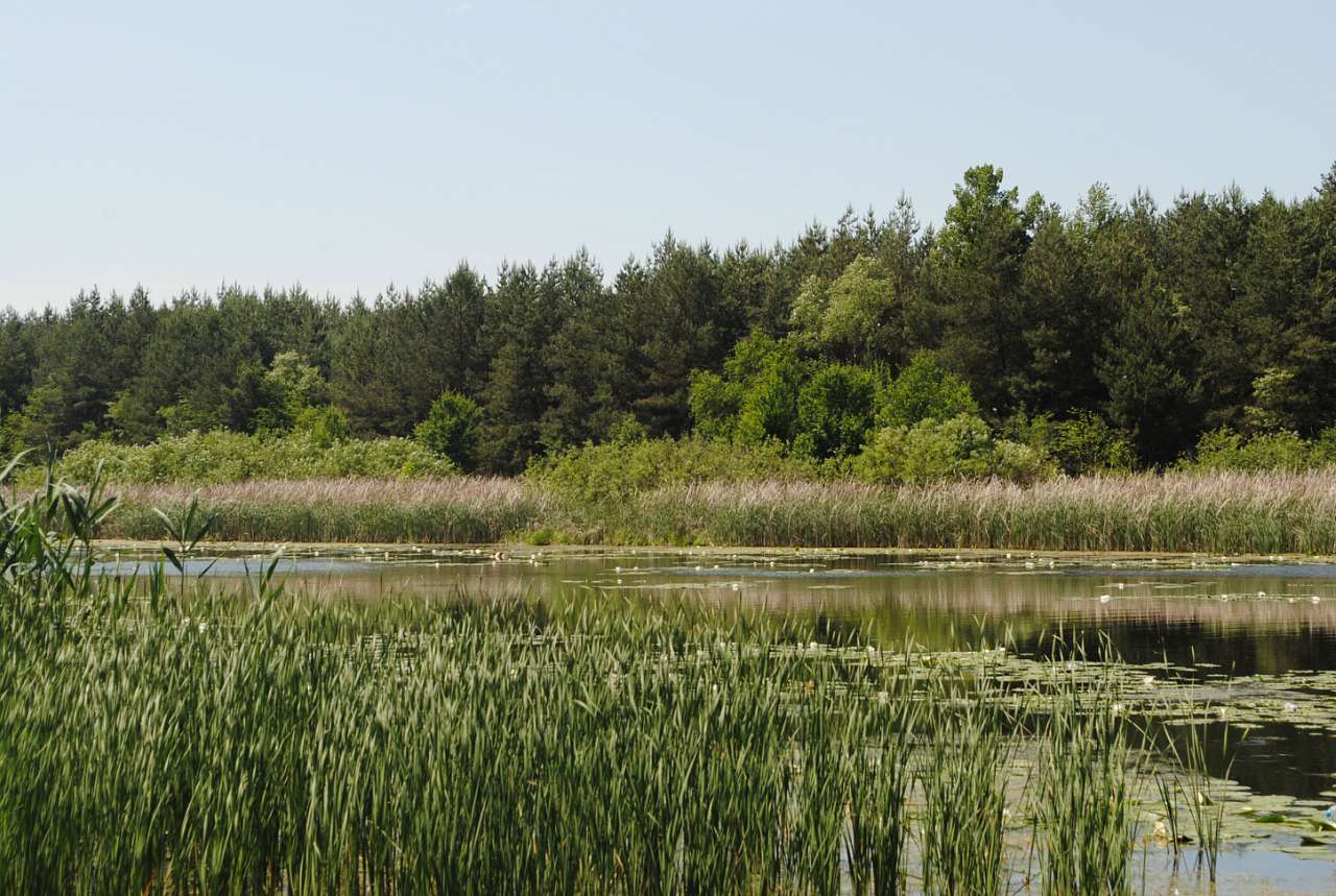 По Сулі - Матвеевка