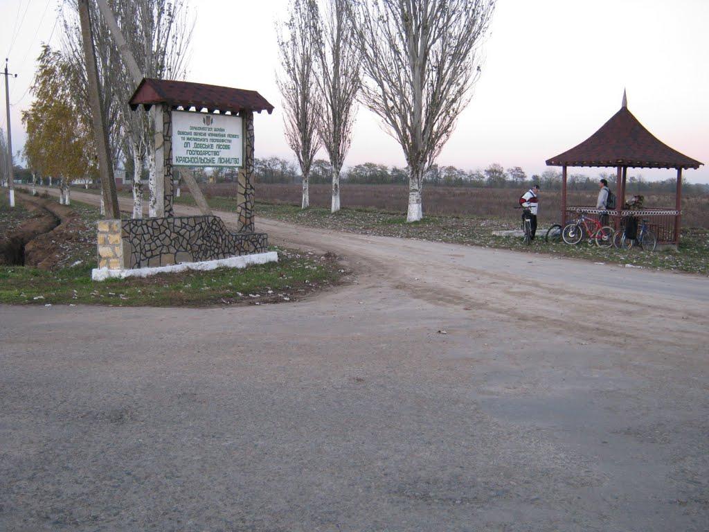 Красносілка з panoramio.com - Красноселка