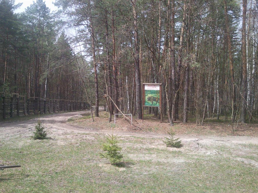 Котів з panoramio.com - Kotiv