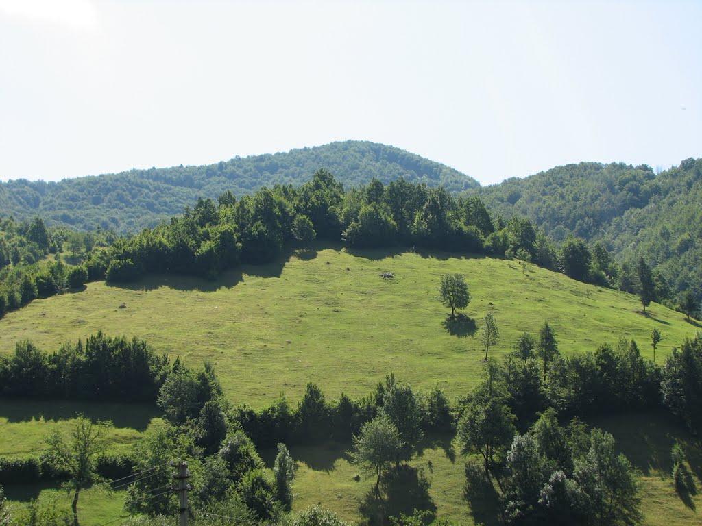 Косівська Поляна з panoramio.com - Kosivska Polyana