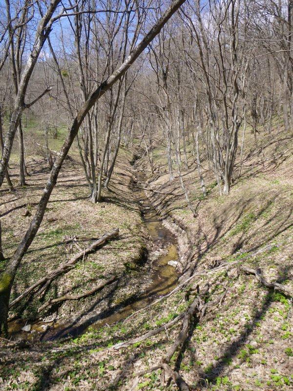Краснокам'янка з panoramio.com - Краснокаменка