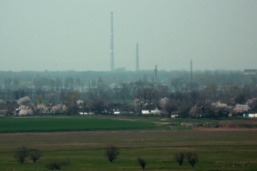 Єлизаветівка з panoramio.com - Єлизаветівка