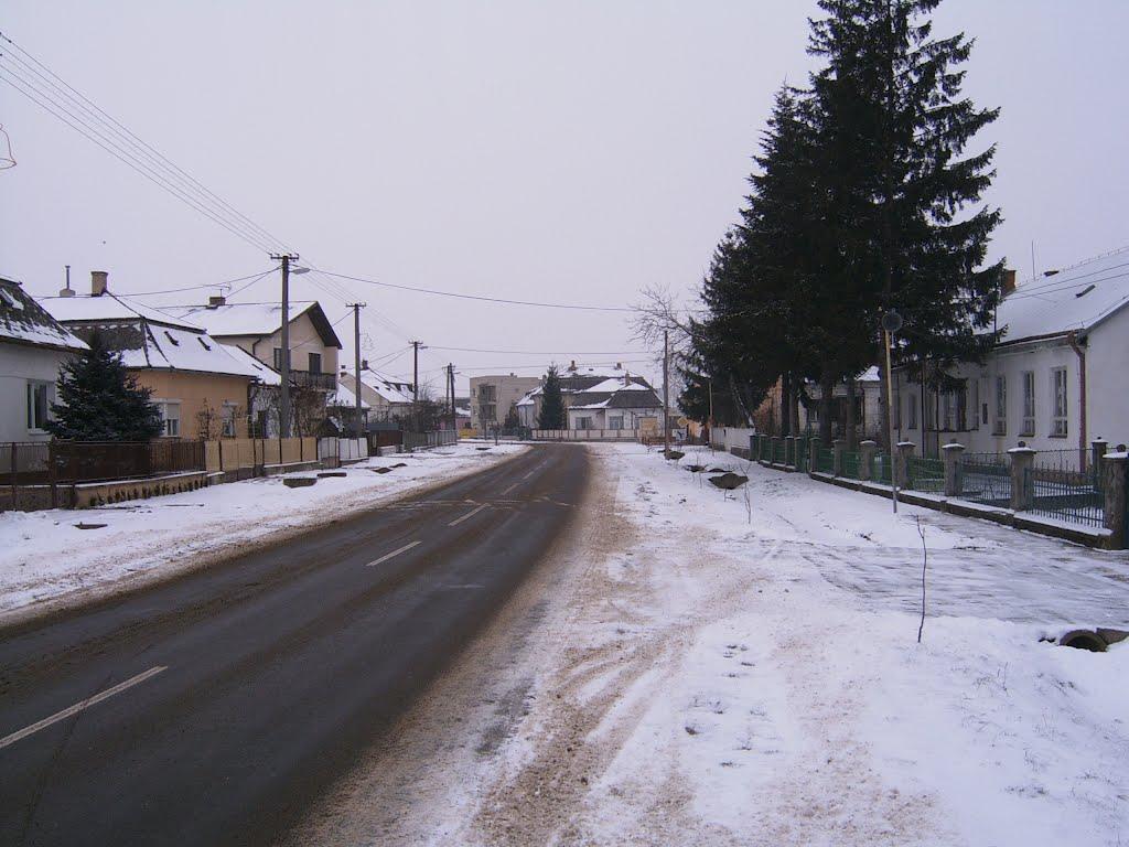 Малі Селменці з panoramio.com - Малые Селлменцы