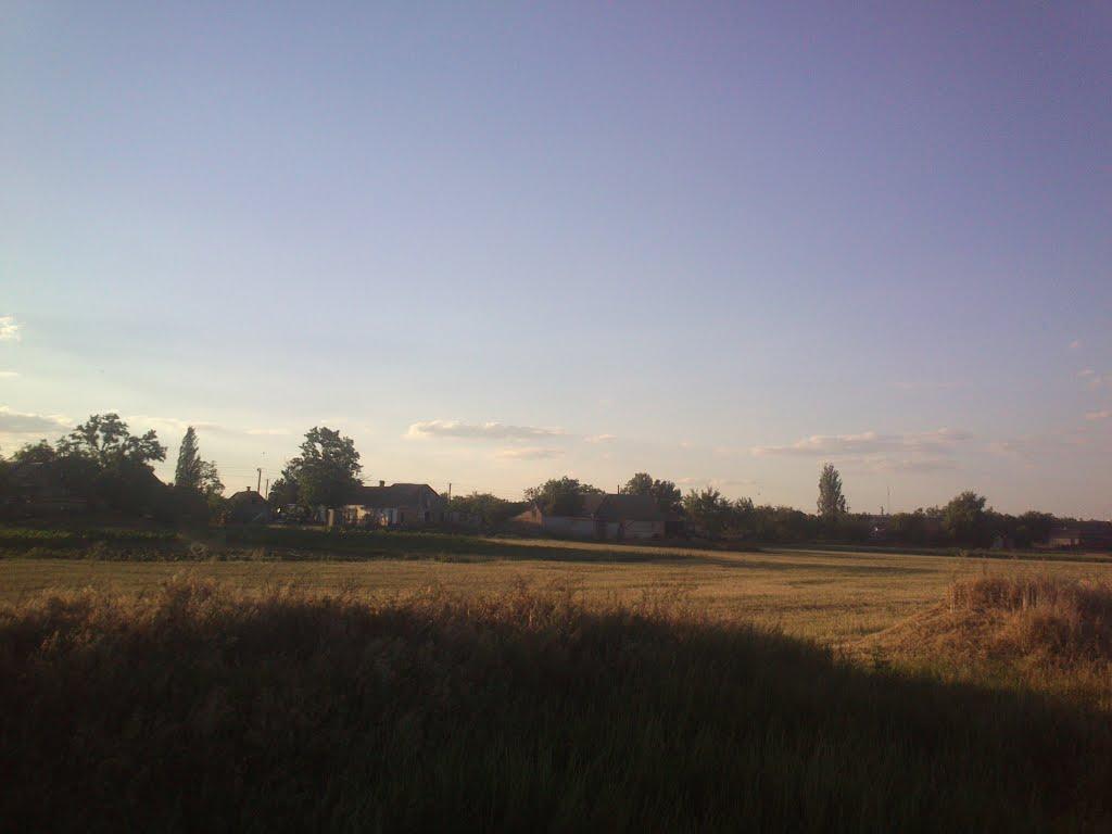 Вячеславка з panoramio.com - Вячеславка