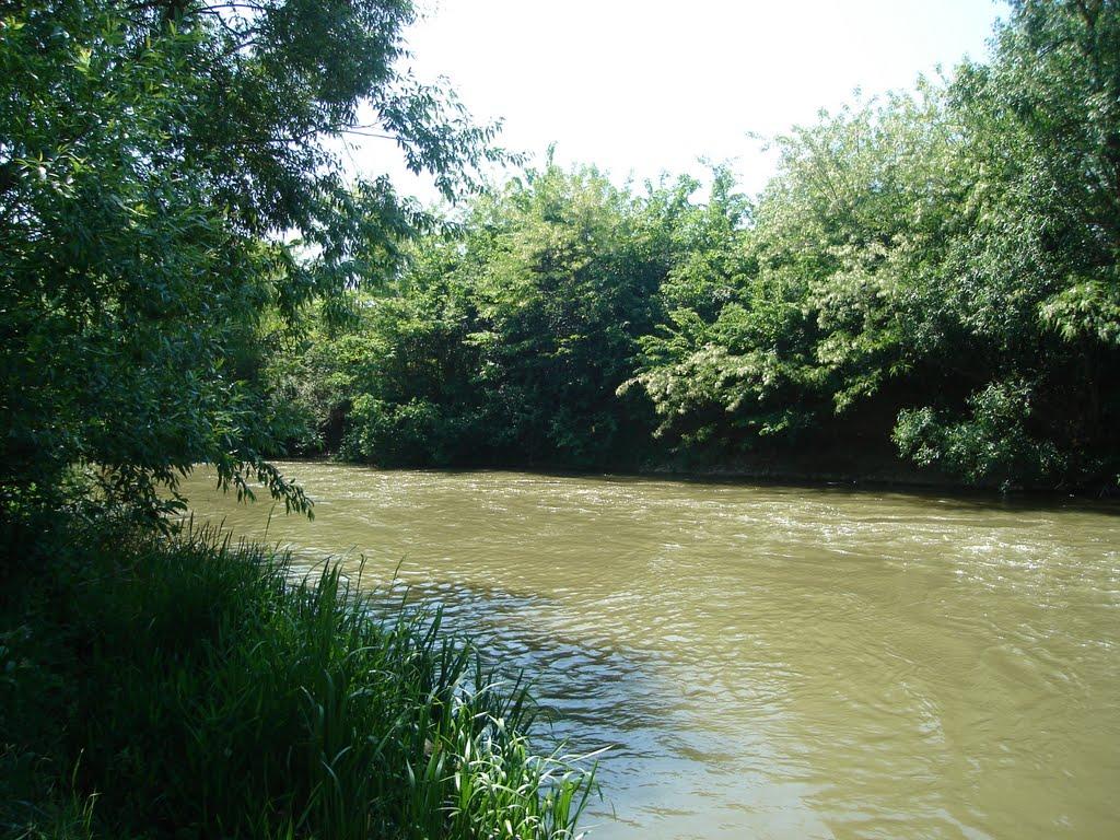 Боришківці з panoramio.com - Боришківці