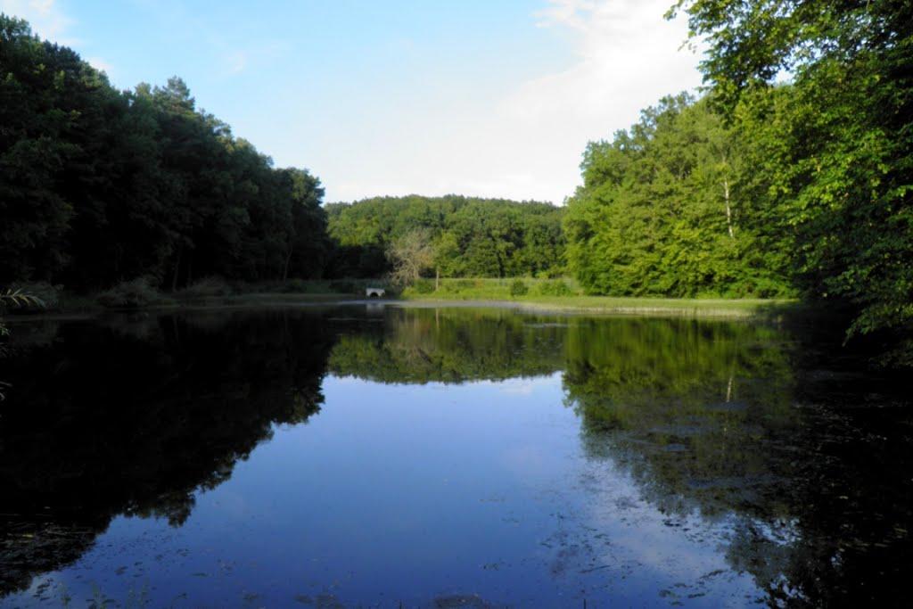 Верхівка з panoramio.com - Верховка