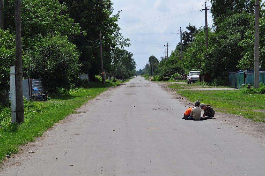 Сербинівка з panoramio.com - Сербиновка