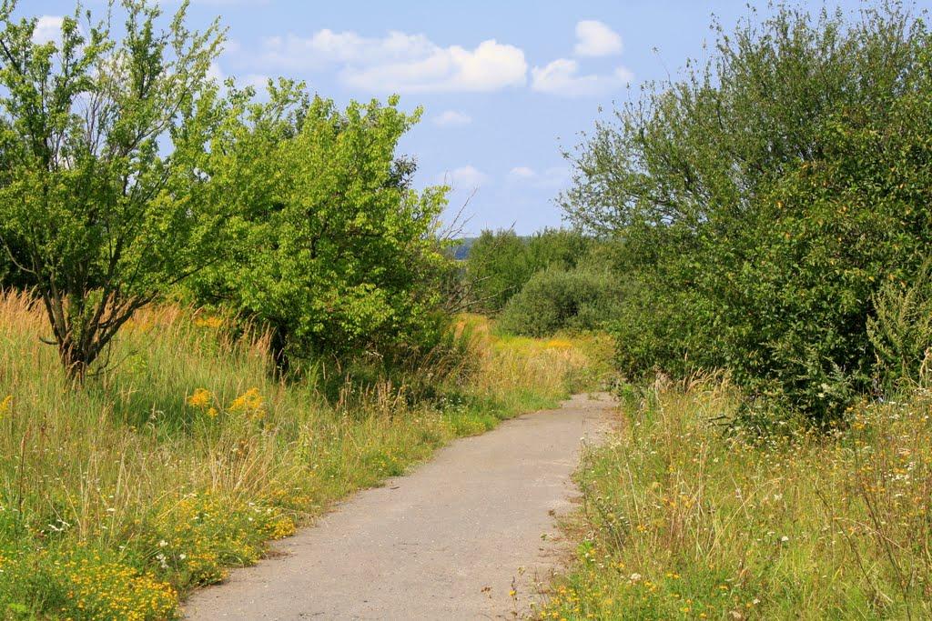 Острожець з panoramio.com - Острожець