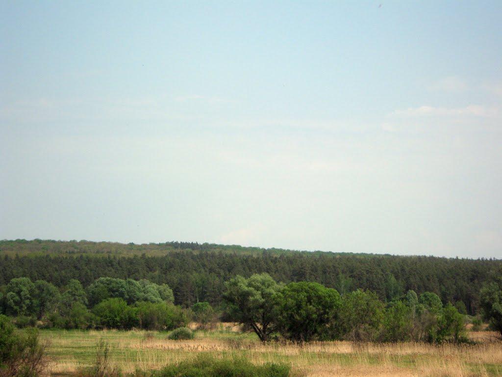 Стара Іванівка з panoramio.com - Стара Іванівка