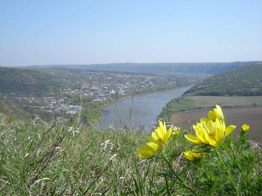 Городниця з panoramio.com - Gorodnytsya