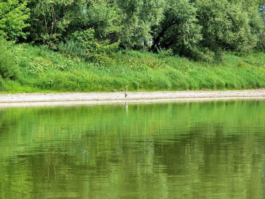 Городниця з panoramio.com - Gorodnytsya