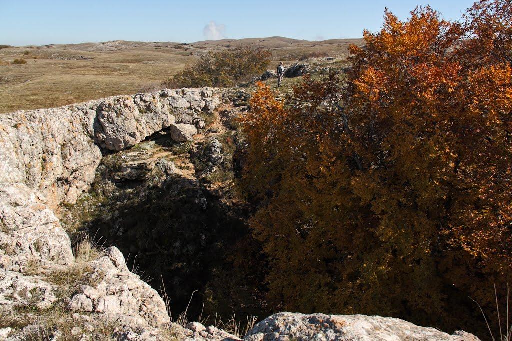 Пчолине з panoramio.com - Pcholyne