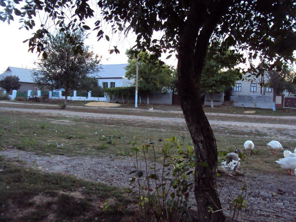 Малоярославець Другий з panoramio.com - Малоярославець Другий