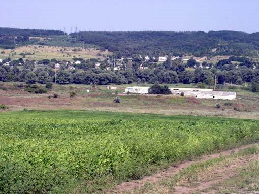 Велика Скельова з panoramio.com - Велика Скельова