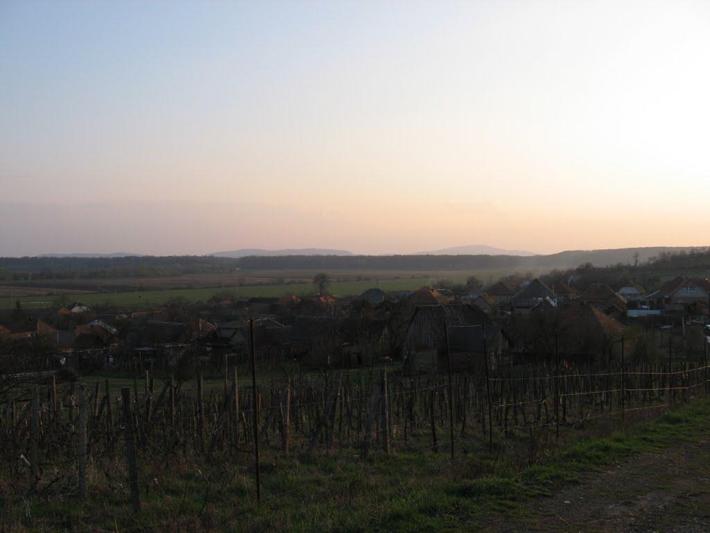 Нижні Ремети з panoramio.com - Нижні Ремети