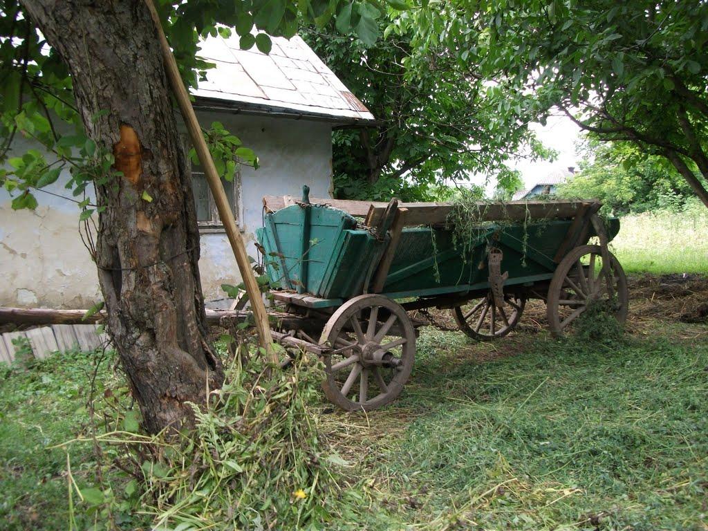 Королівка з panoramio.com - Королевка