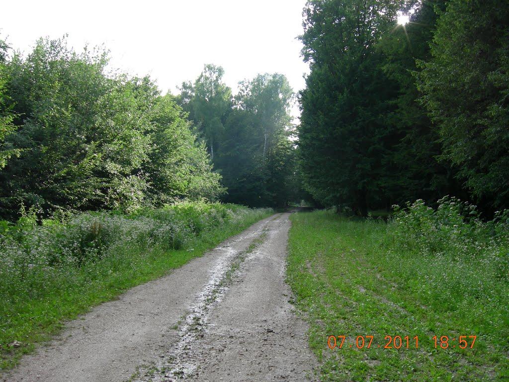 Іванківці з panoramio.com - Іванківці