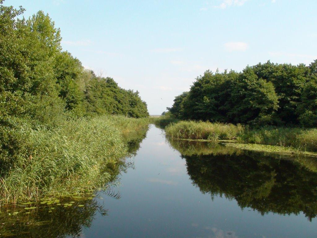 Кізомис з panoramio.com - Кізомис
