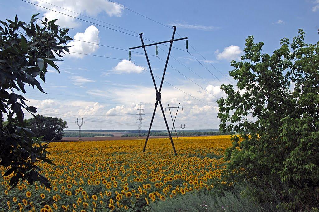 Максимільянівка з panoramio.com - Максимільянівка